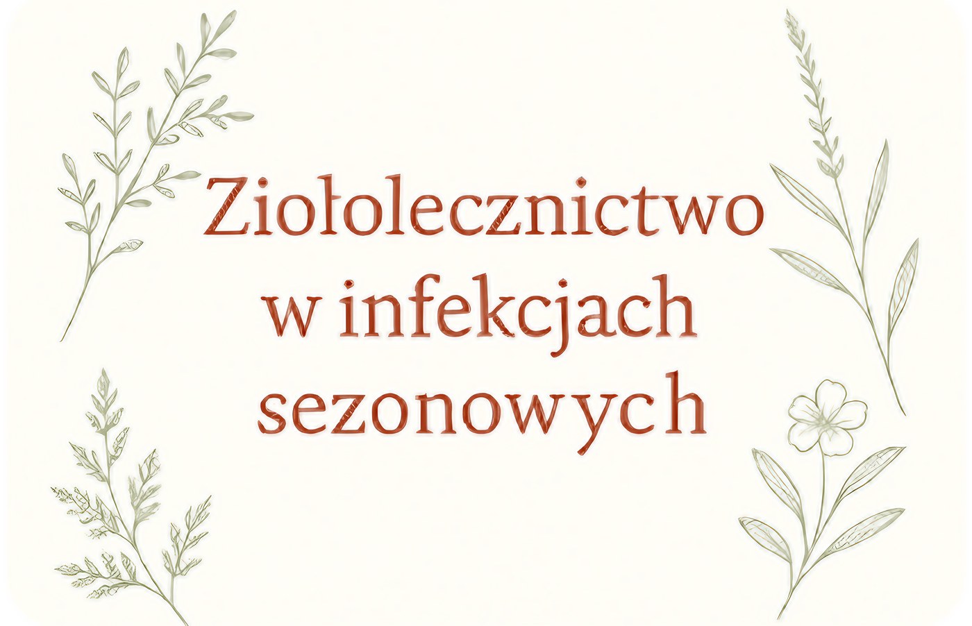 Ziołolecznictwo w Infekcjach Sezonowych